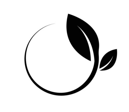 Rejuvenate Home